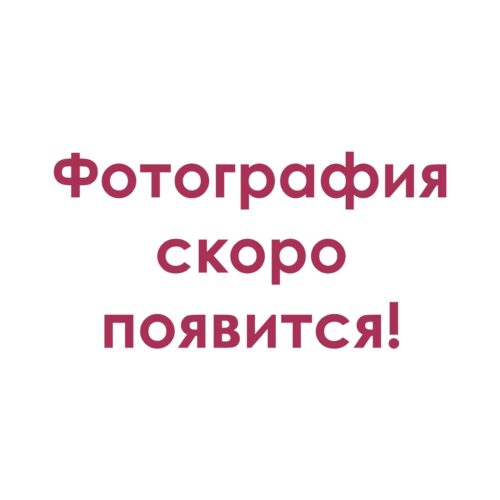 Облицовочный кирпич ЛАДОГА БАЗАЛЬТ