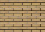 Лицевой кирпич Слоновая кость, жёлтый 1,4НФ M150-200 — изображение 4
